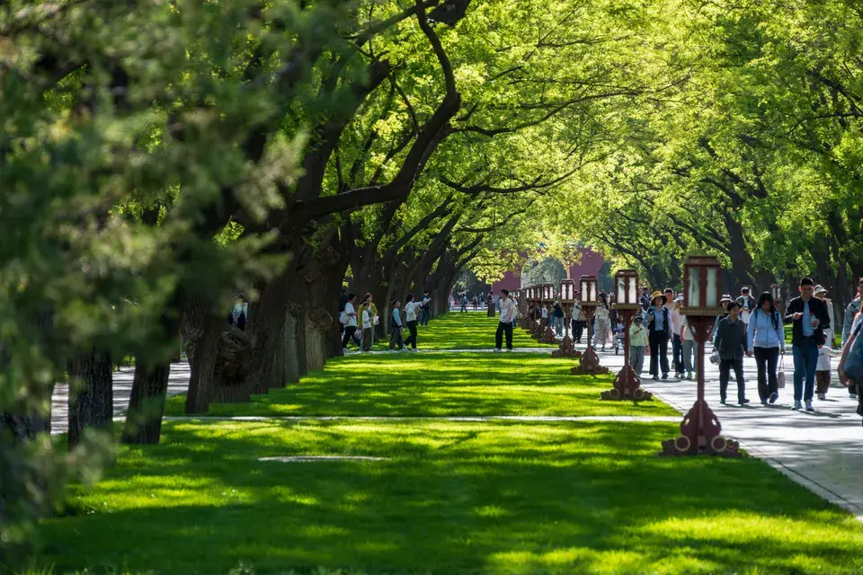 Local Expertise in Cottleville's Unique Environment — Cottleville, MO